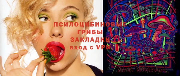 дурь Аркадак