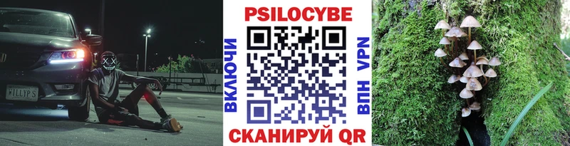 Галлюциногенные грибы ЛСД  Сысерть 